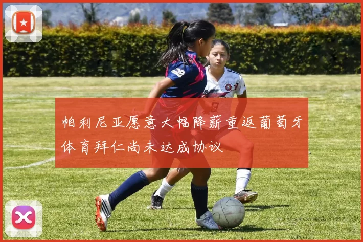 帕利尼亚愿意大幅降薪重返葡萄牙体育拜仁尚未达成协议
